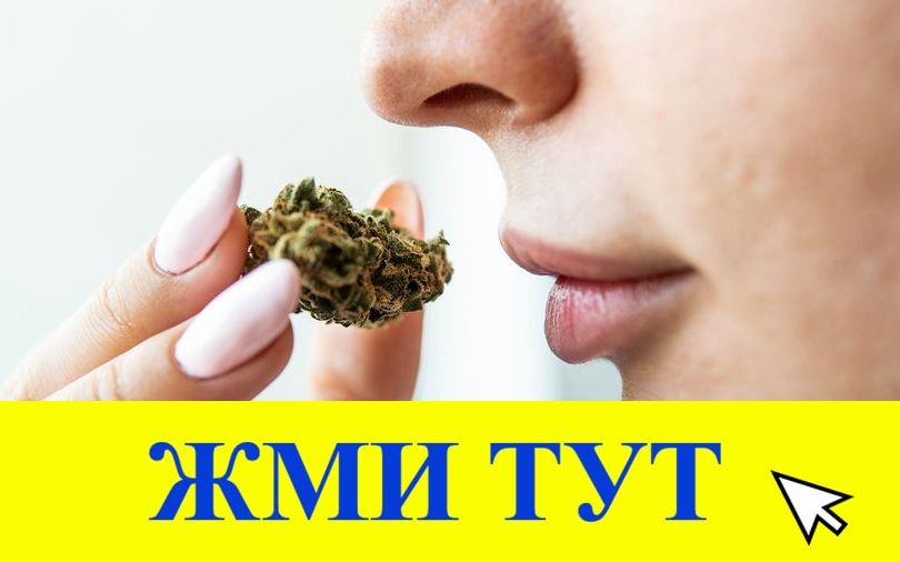 Купить наркотики в Тамбове